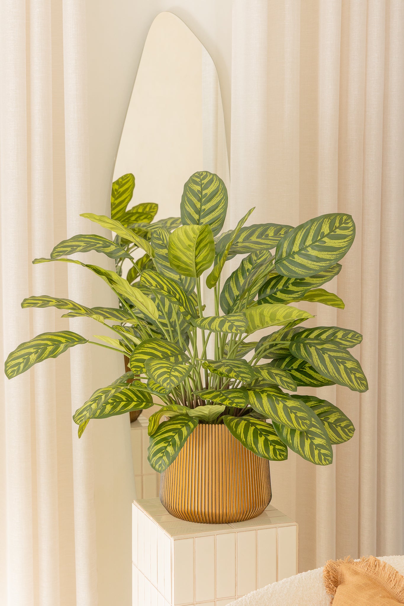 Calathea Kunstplant 75cm