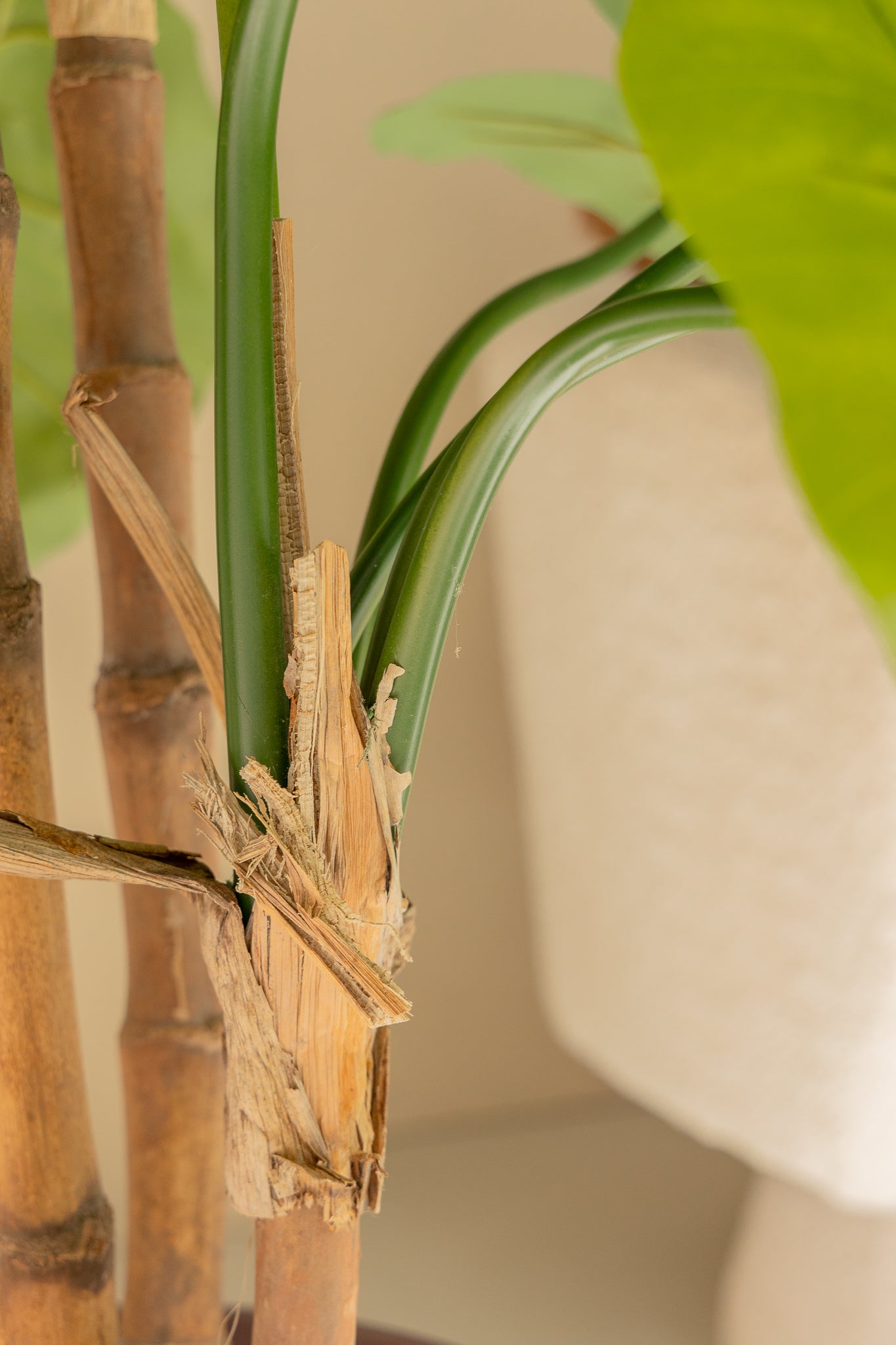Alocasia Kunstplant 165cm