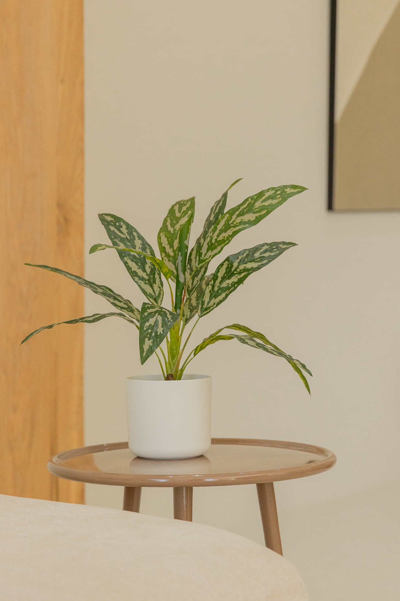Dracaena Kunstplant 40cm