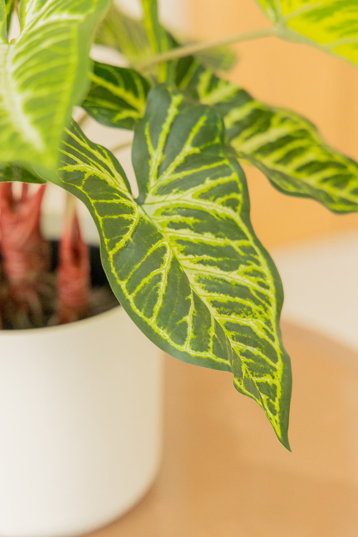 Philodendron Kunstplant 40cm
