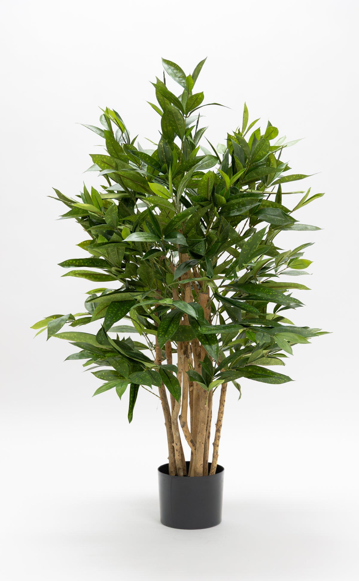 Dracaena Surculosa Kunstplant 120cm