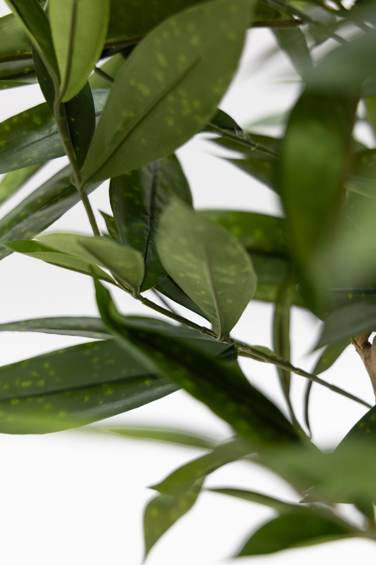 Dracaena Surculosa Kunstplant 120cm