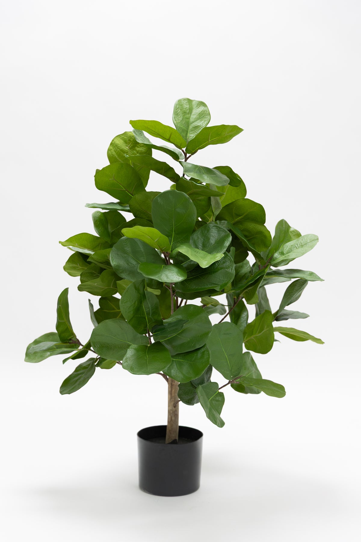 Ficus Kunstplant 90cm