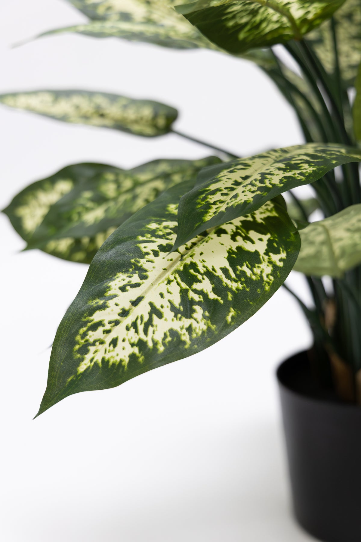 Dieffenbachia Kunstplant 70cm
