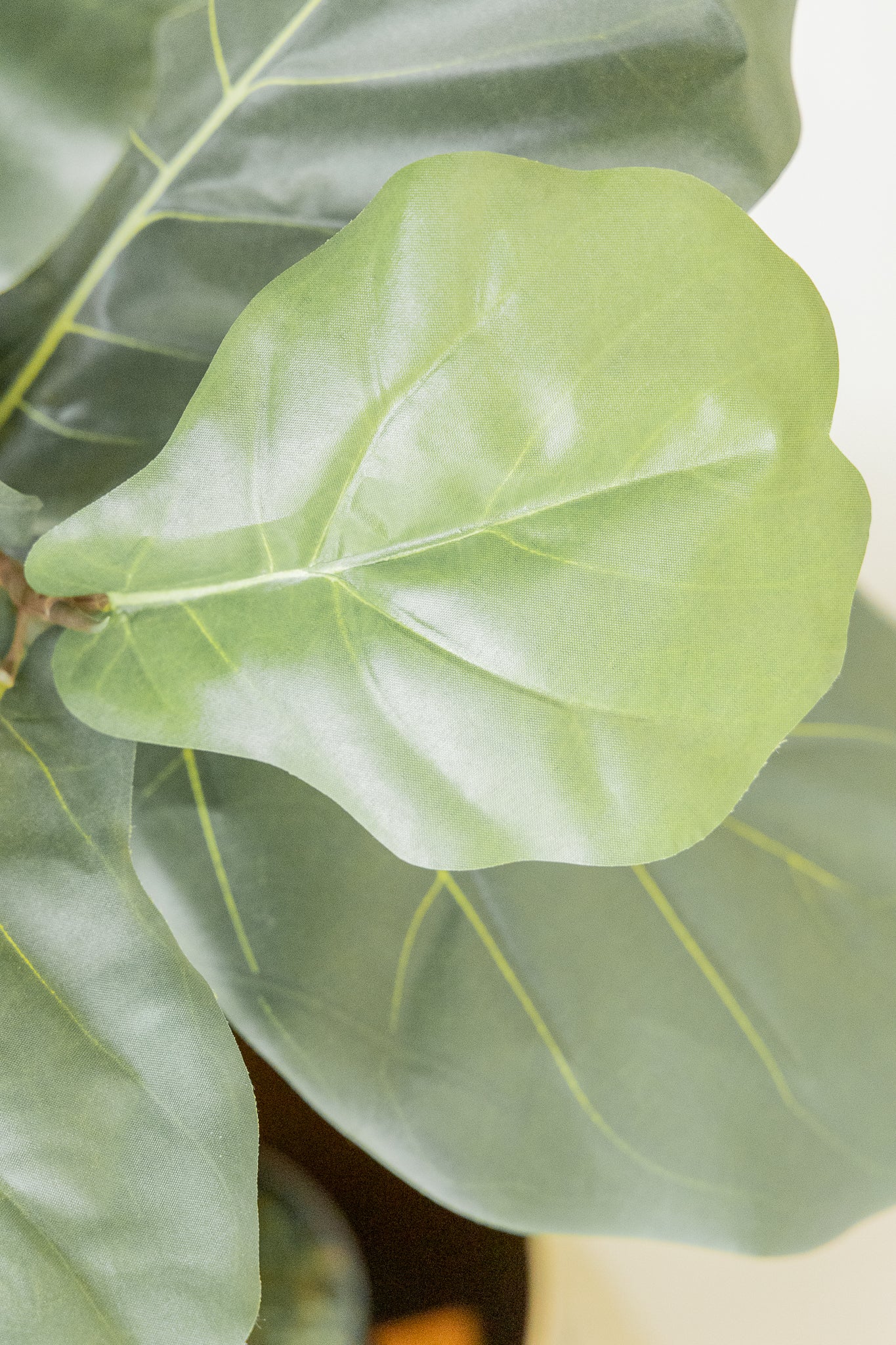 Ficus Kunstplant 180cm