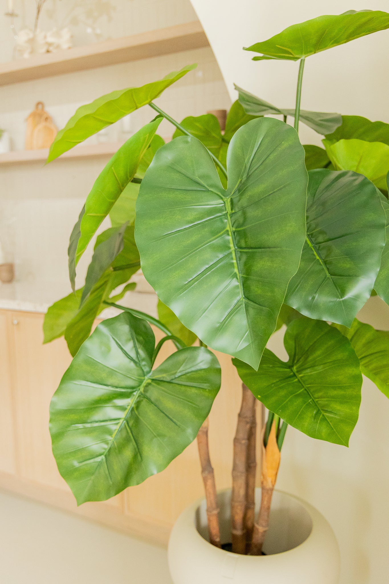 Alocasia Kunstplant 140cm