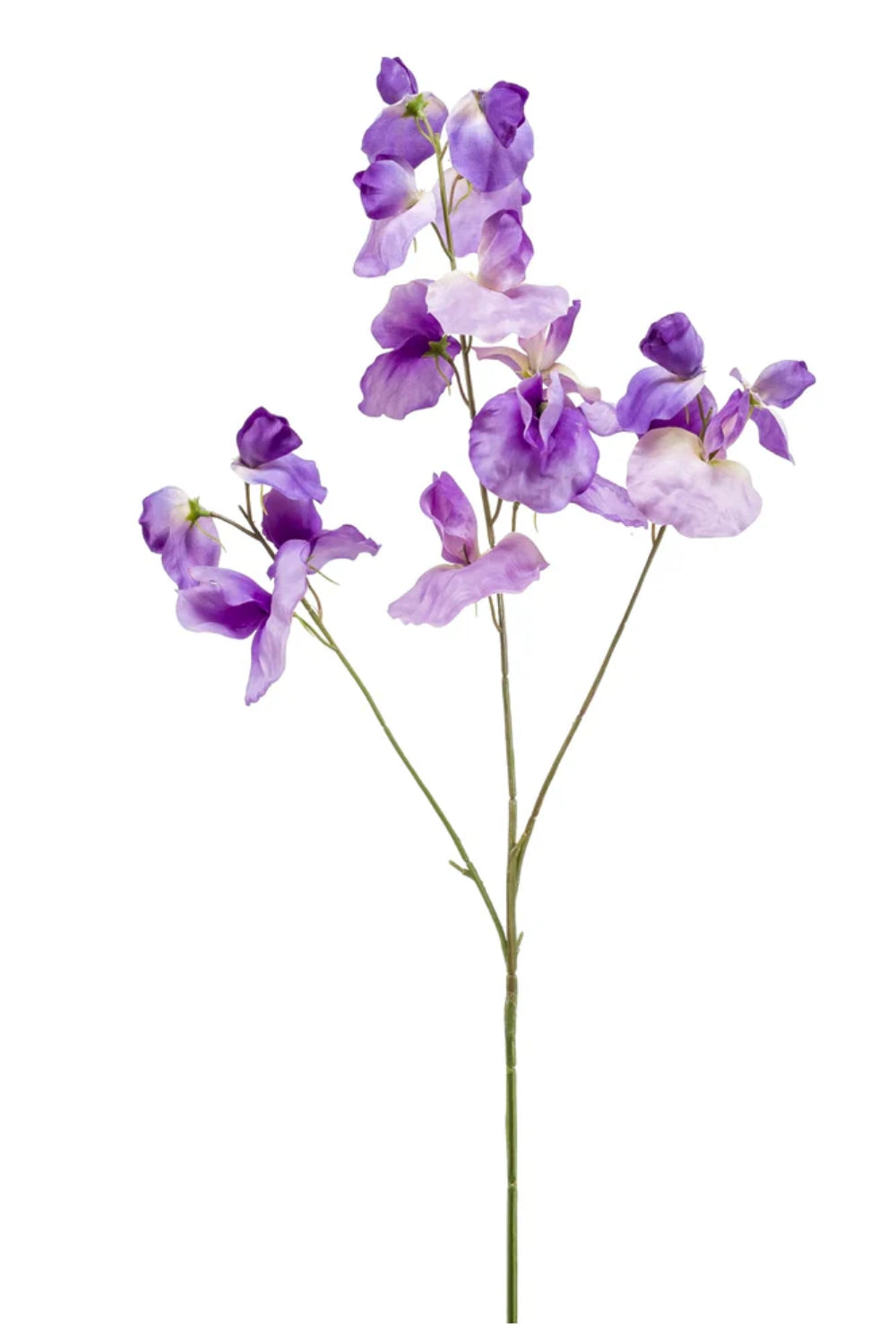 Lathyrus Kunstbloem 75cm Paars