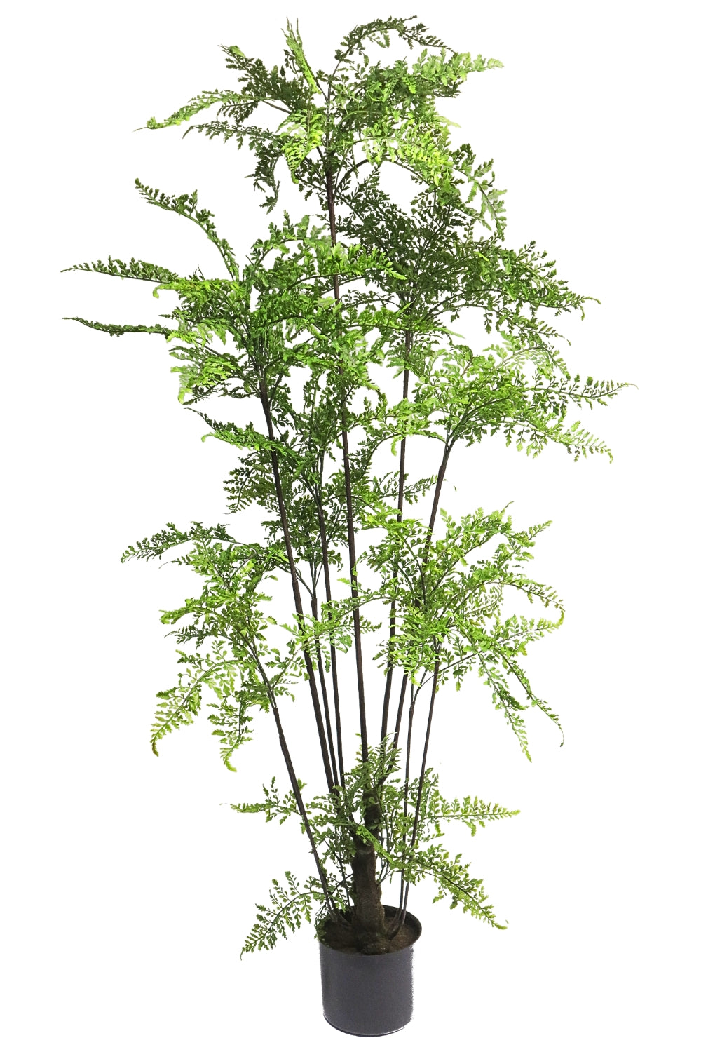 Kunst Ledervaren 150cm