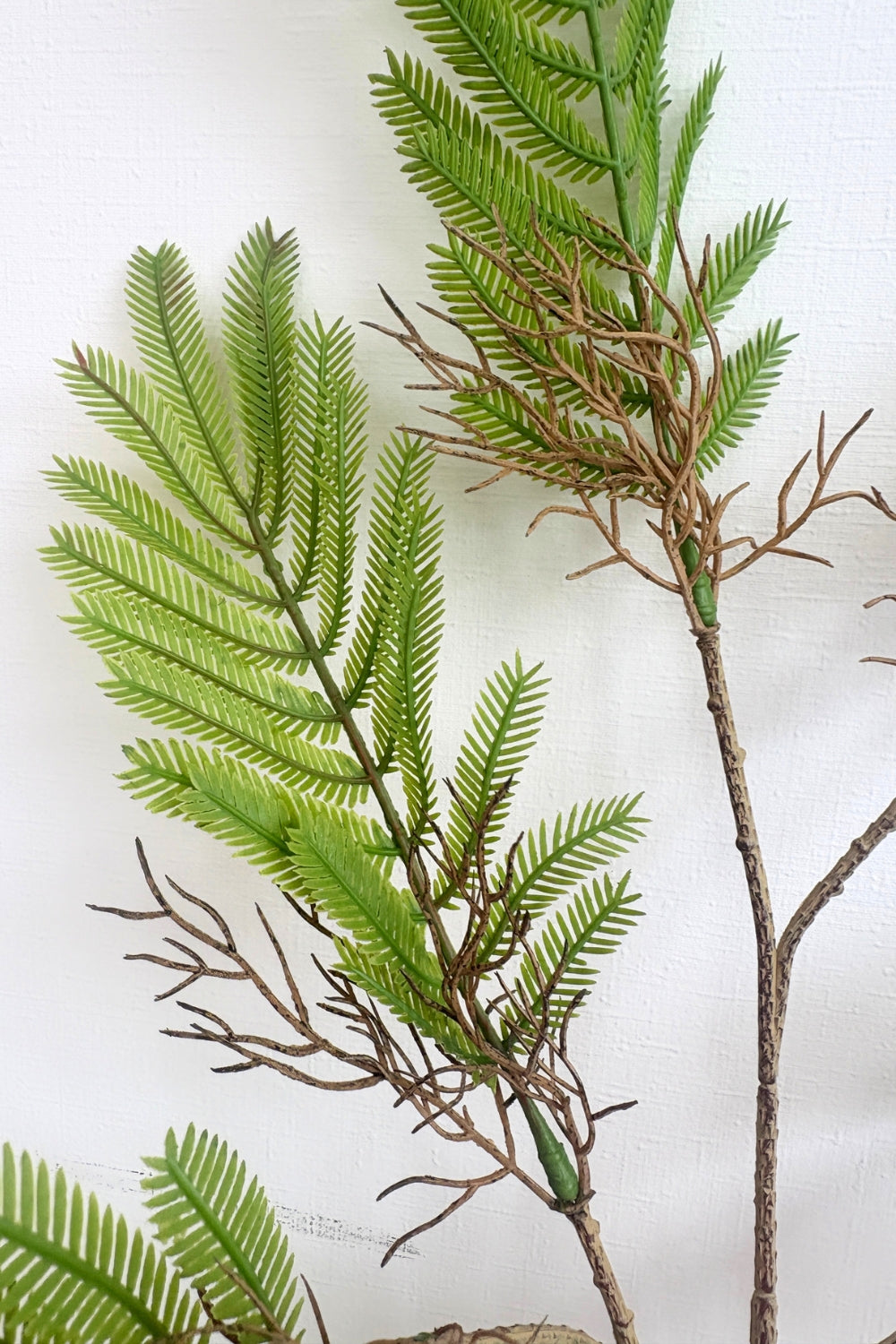 Mimosa Kunsttak 78cm