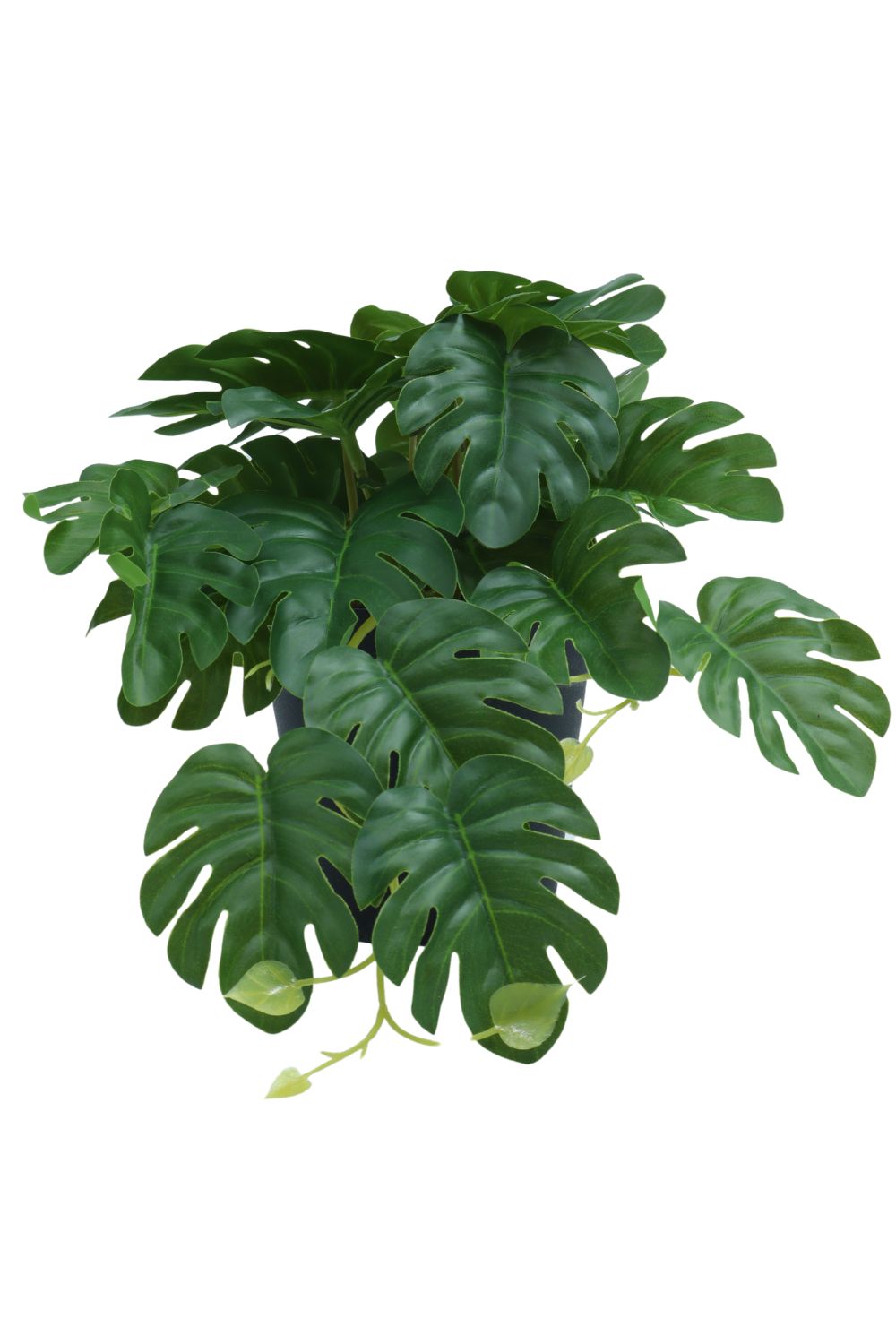 Monstera kunstplant 17cm