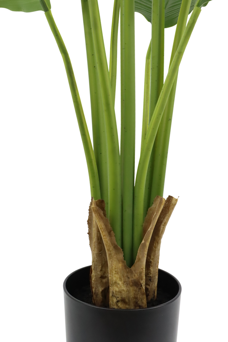 Onderzijde strelitzia kunstplant 120cm
