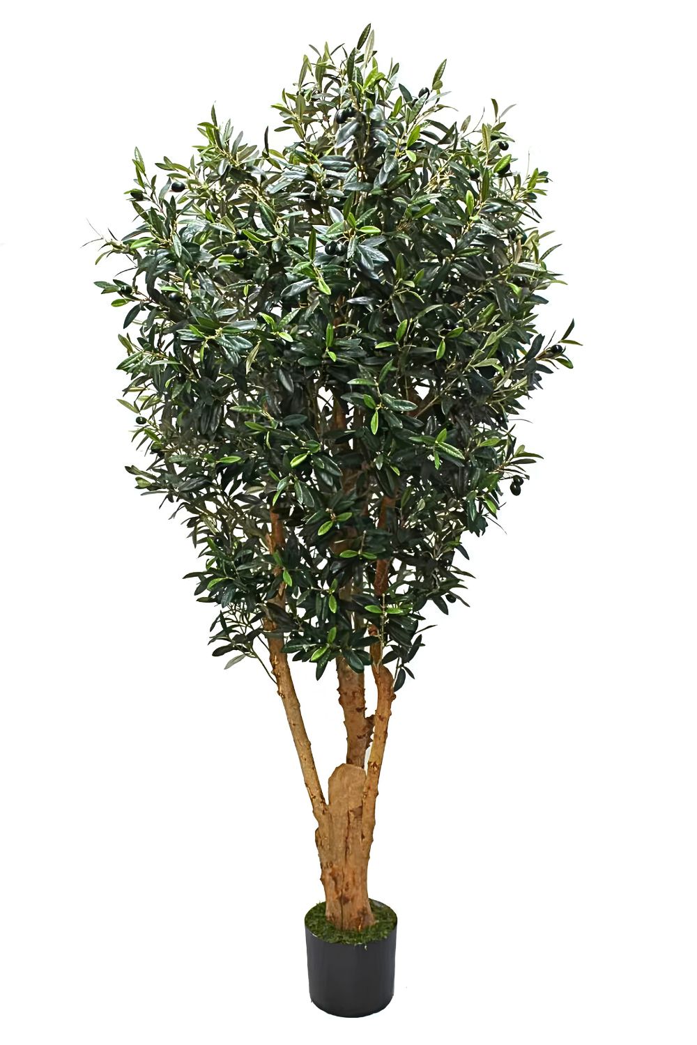 Kunst Olijfboom deluxe 180cm
