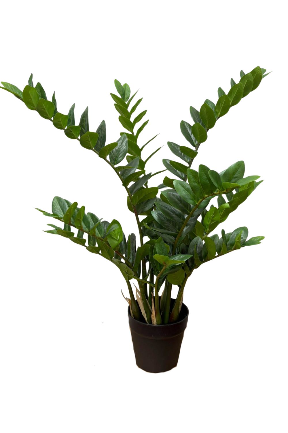 Zamioculcas Kunstplant 90cm