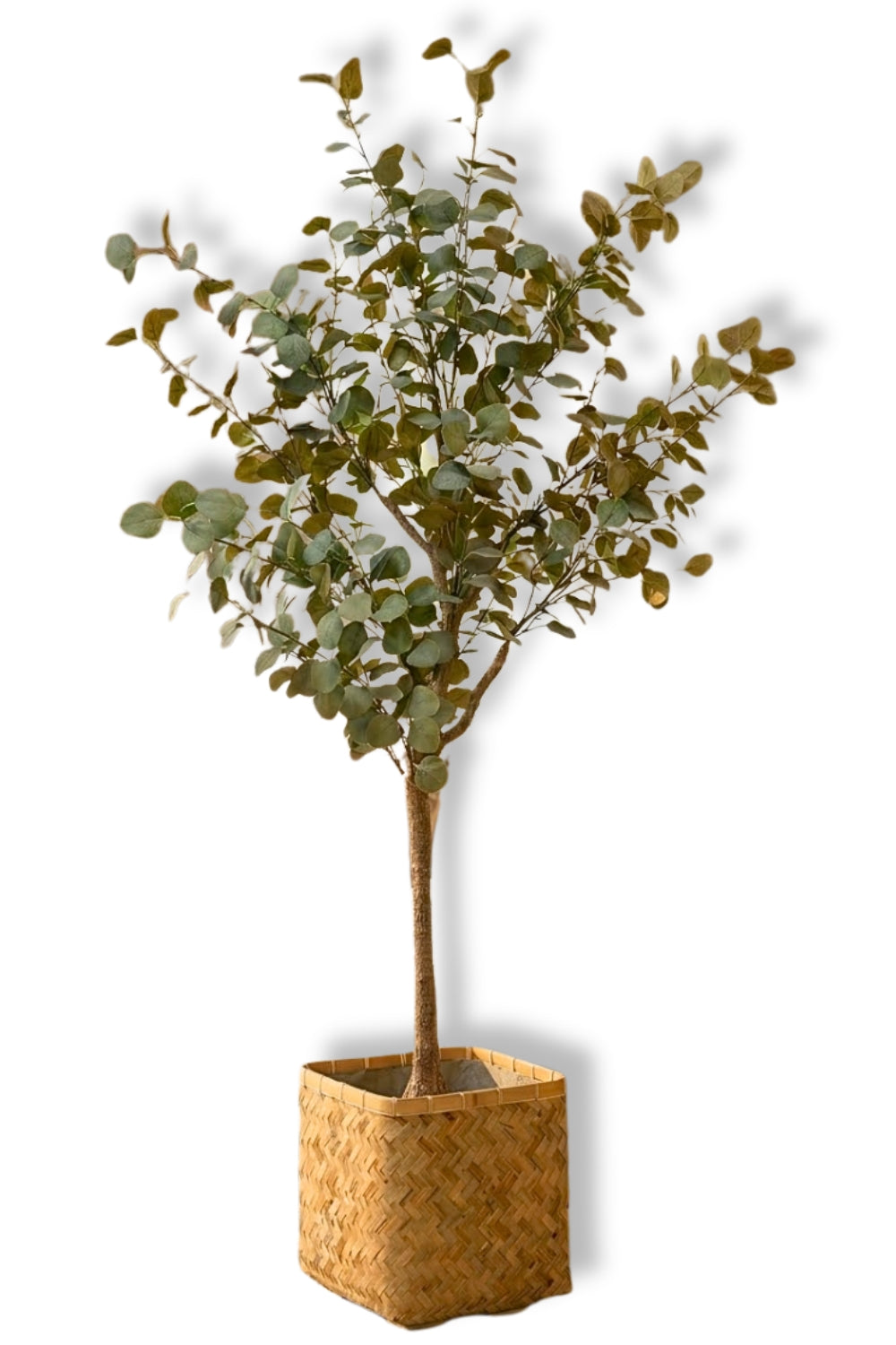 Eucalyptus Kunstboom 180cm