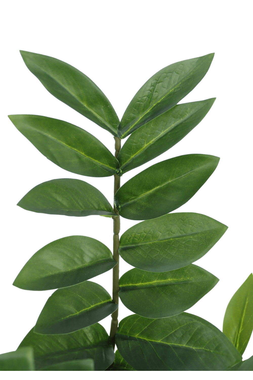 blad zamioculcus kunstplant 90cm