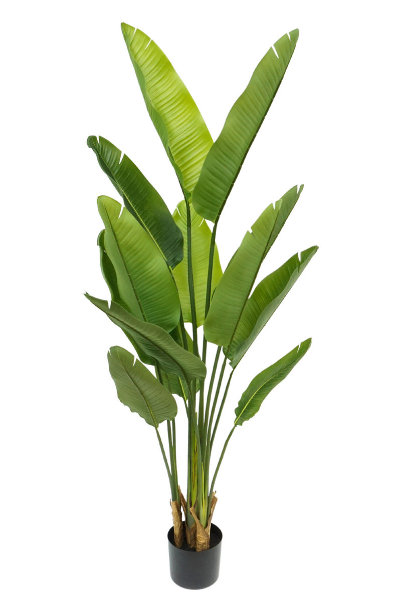 Strelitzia kunstplant 160cm