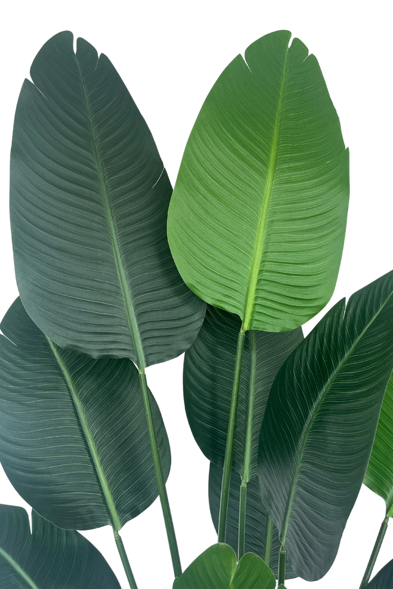Strelitzia Kunstplant 180cm