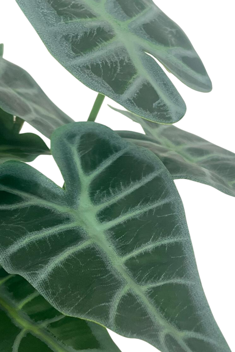 caladium kunstplant 20cm details blad 