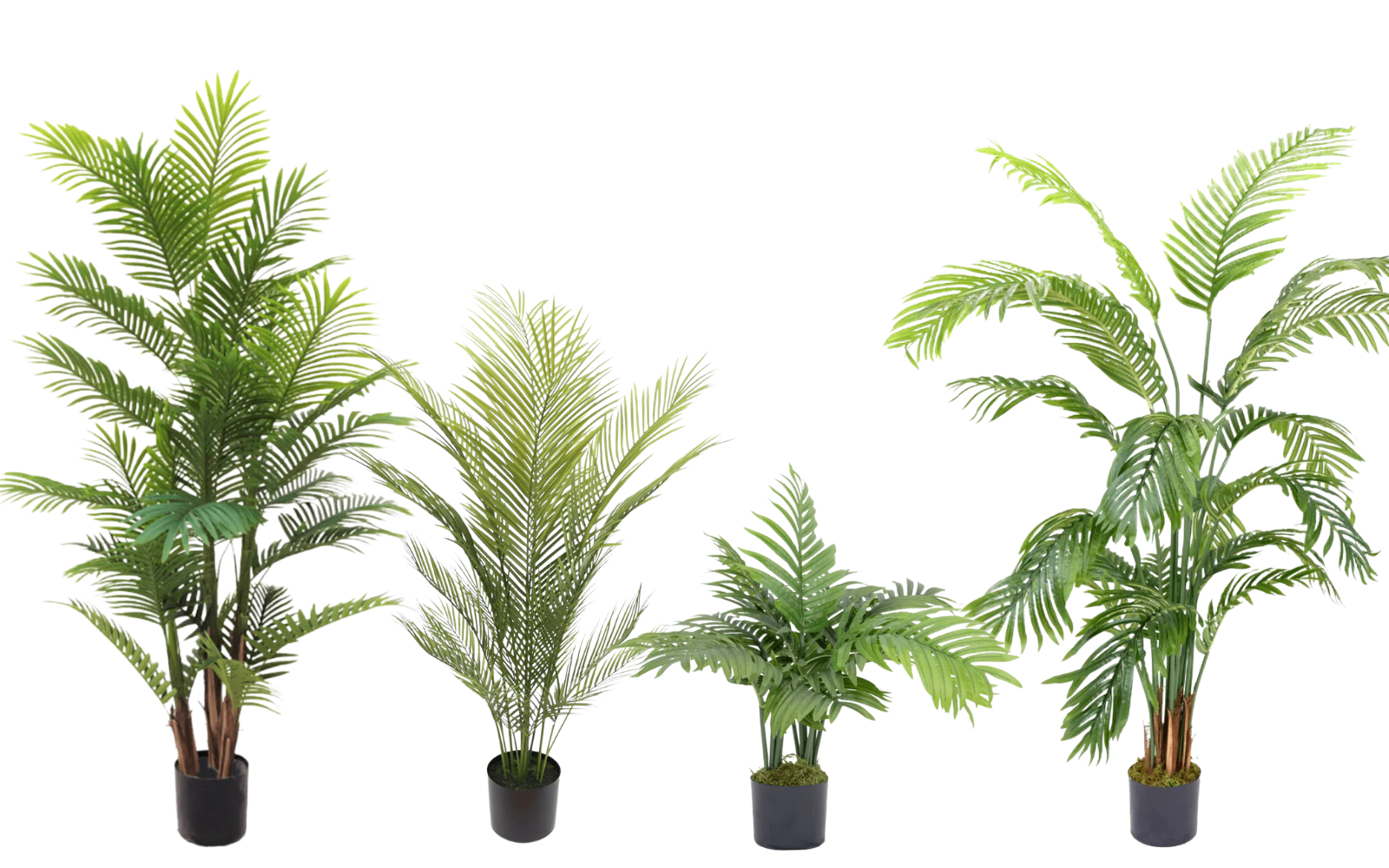 Pretty Palms kunstplantenpakket