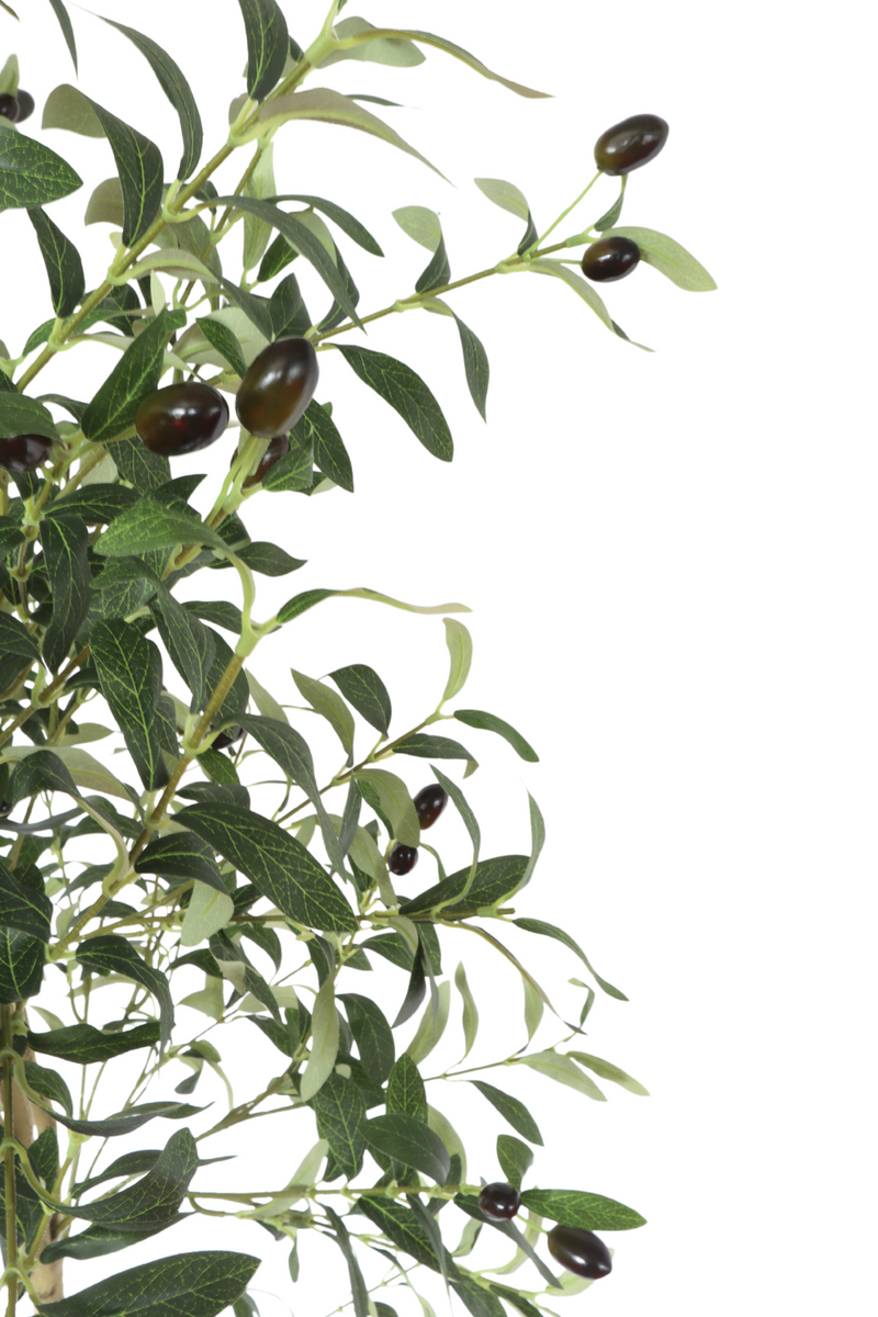 bladeren en olijven van de kunst olijfboom 180cm