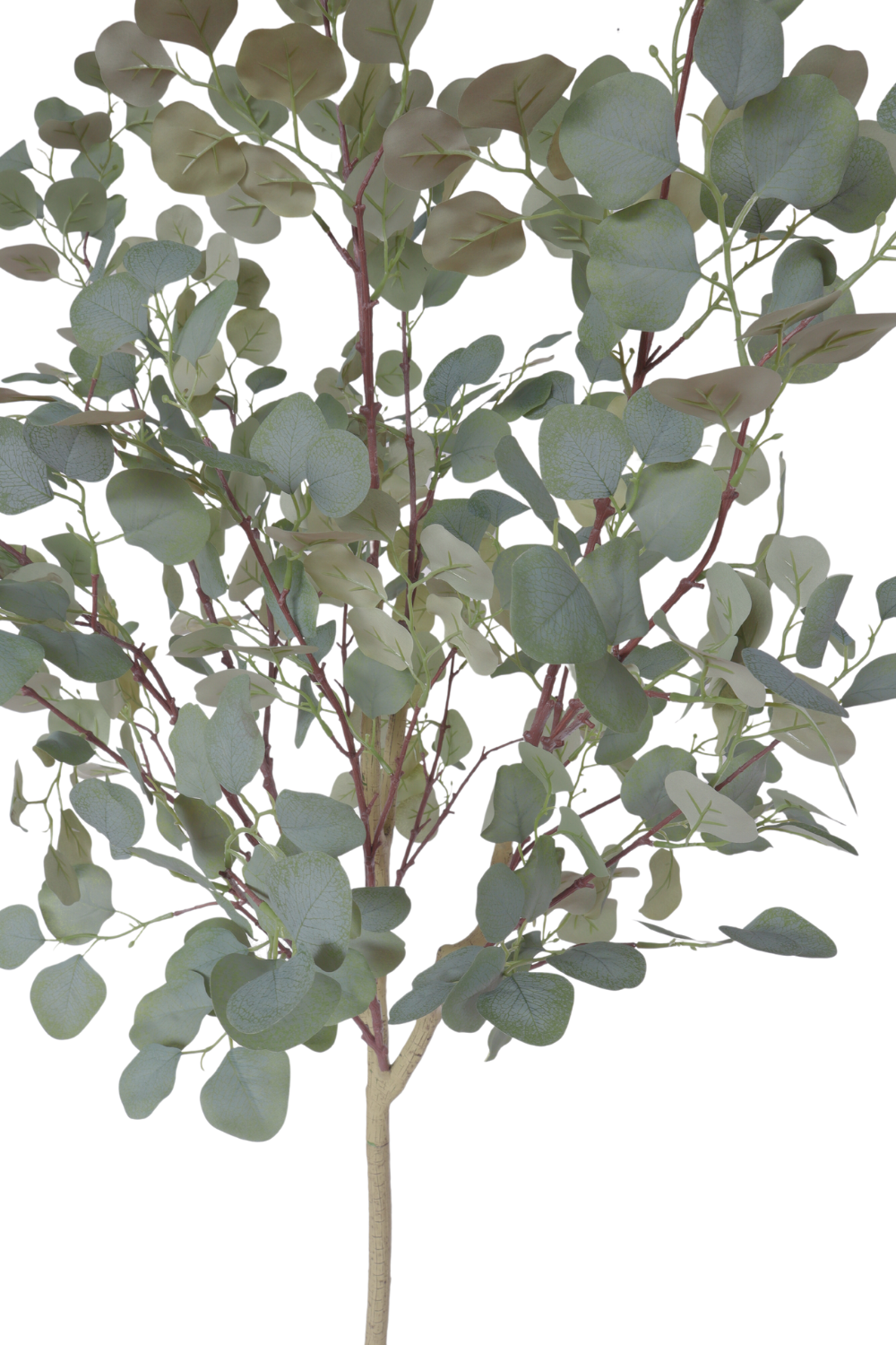 Eucalyptus Kunstboom 160cm