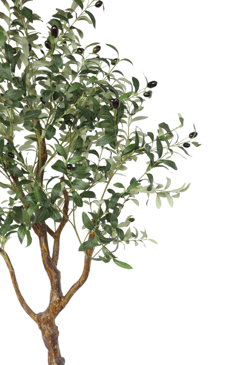 stam en bladeren van de kunst olijfboom 150cm