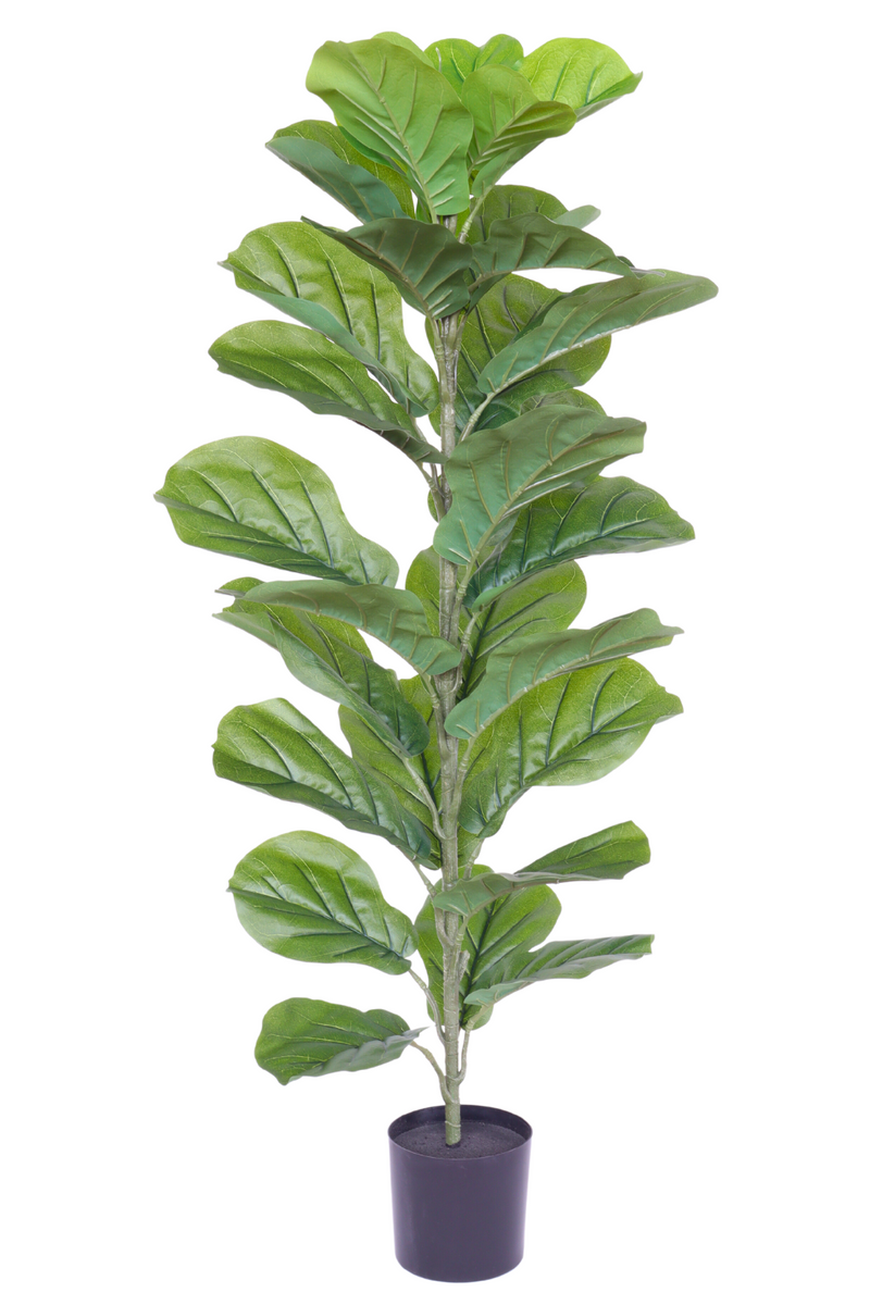 Ficus kunstplant 100cm