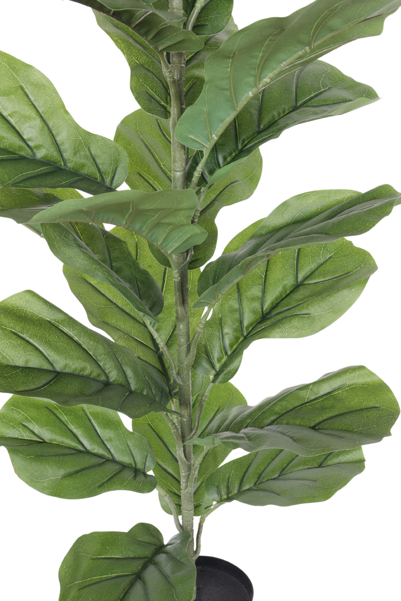 bladeren ficus kunstplant 100cm