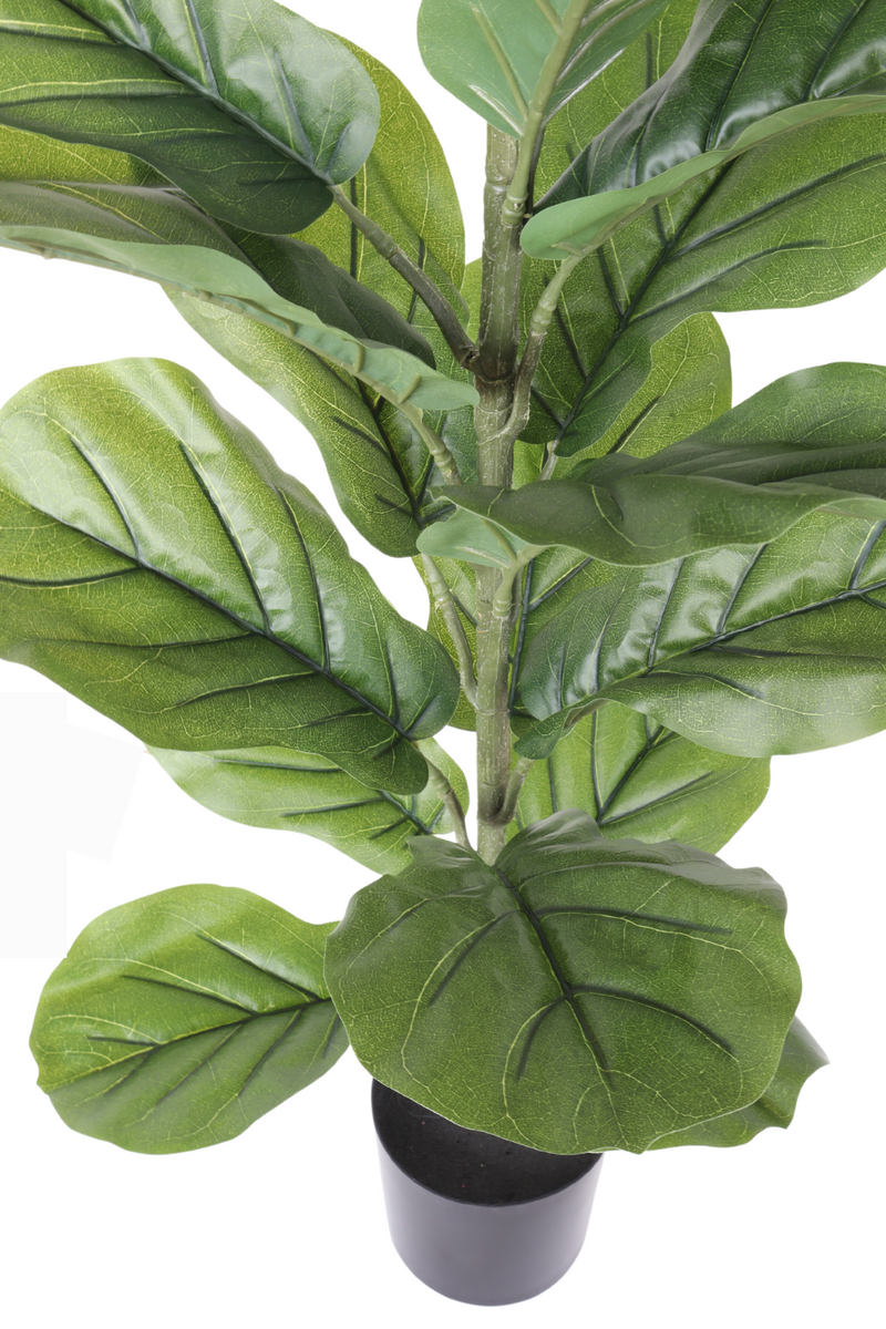 bovenaanzicht Ficus kunstplant 100cm