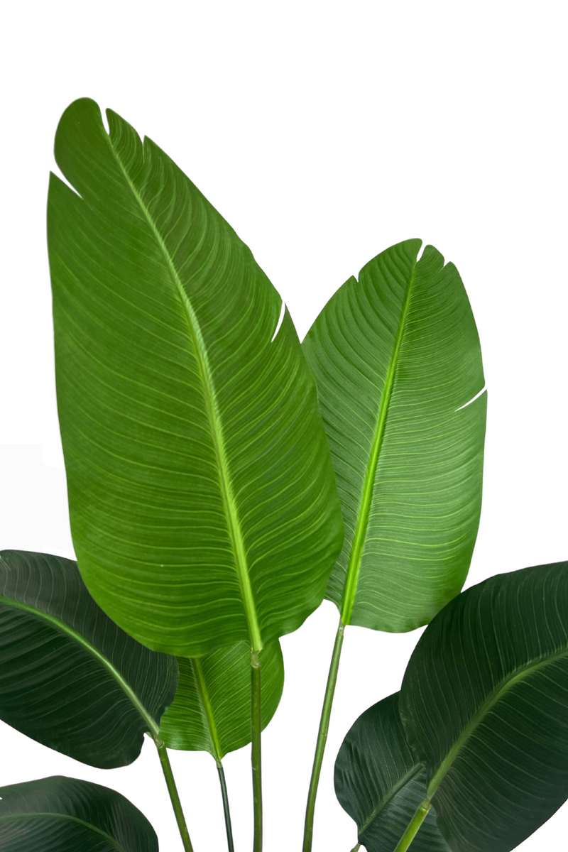 Bladeren strelitzia kunstplant 120cm