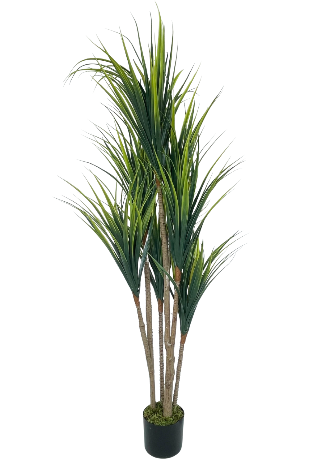 Dracaena Kunstplant 130cm