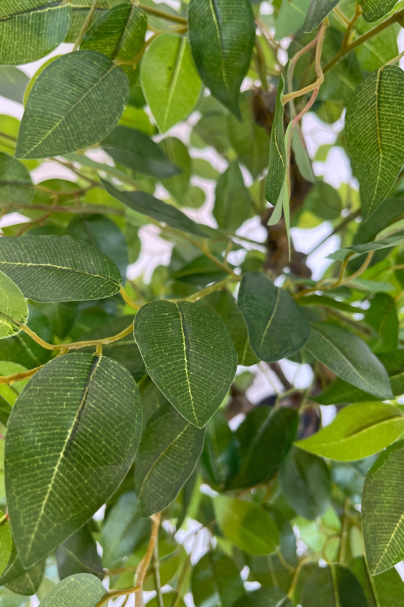 bladeren Ficus kunstboom 100cm