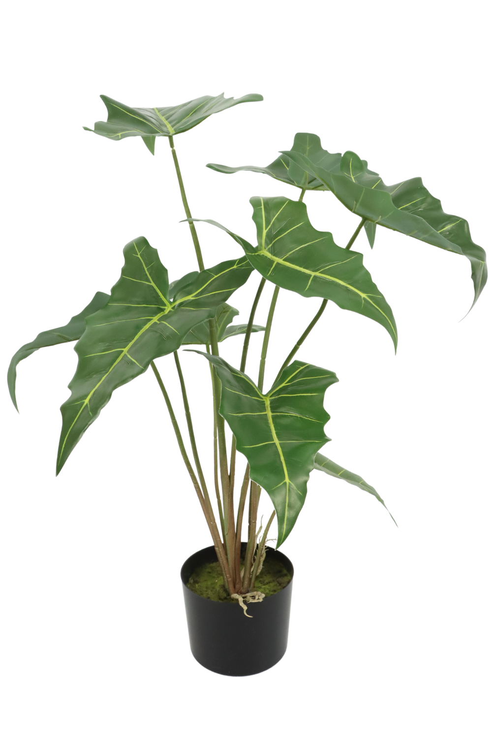 Alocasia kunstplant 75cm