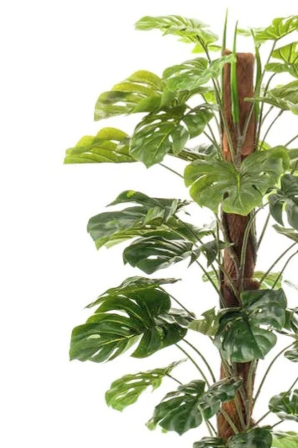 Monstera Kunstplant 150cm