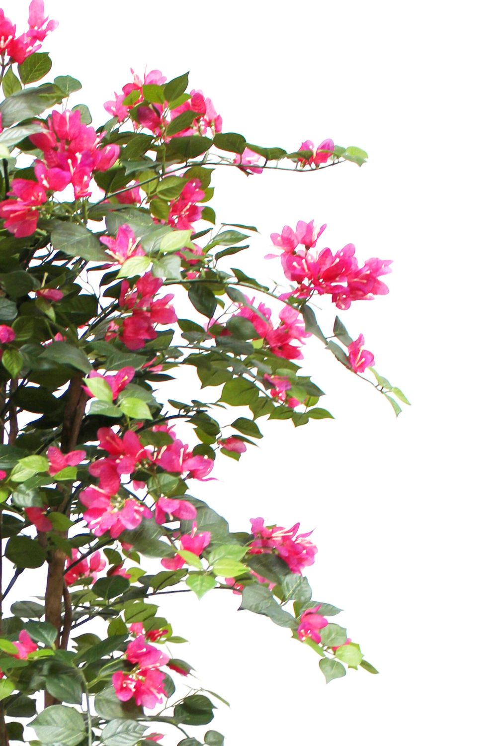 bladeren en bloemen Bougainvillea kunstplant 150cm