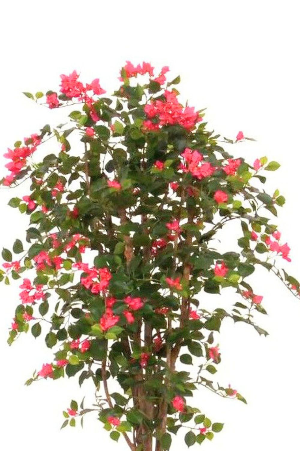 Bovenkant Bougainvillea kunstplant 180cm