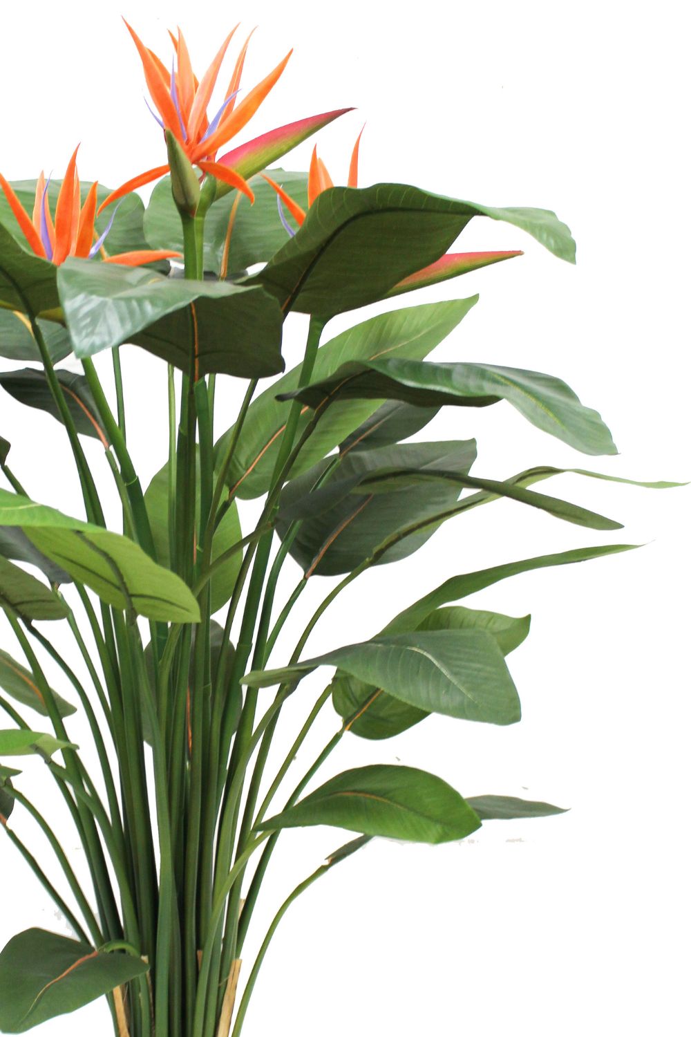 Stelen en bloemen van de strelitzia kunstplant 120cm