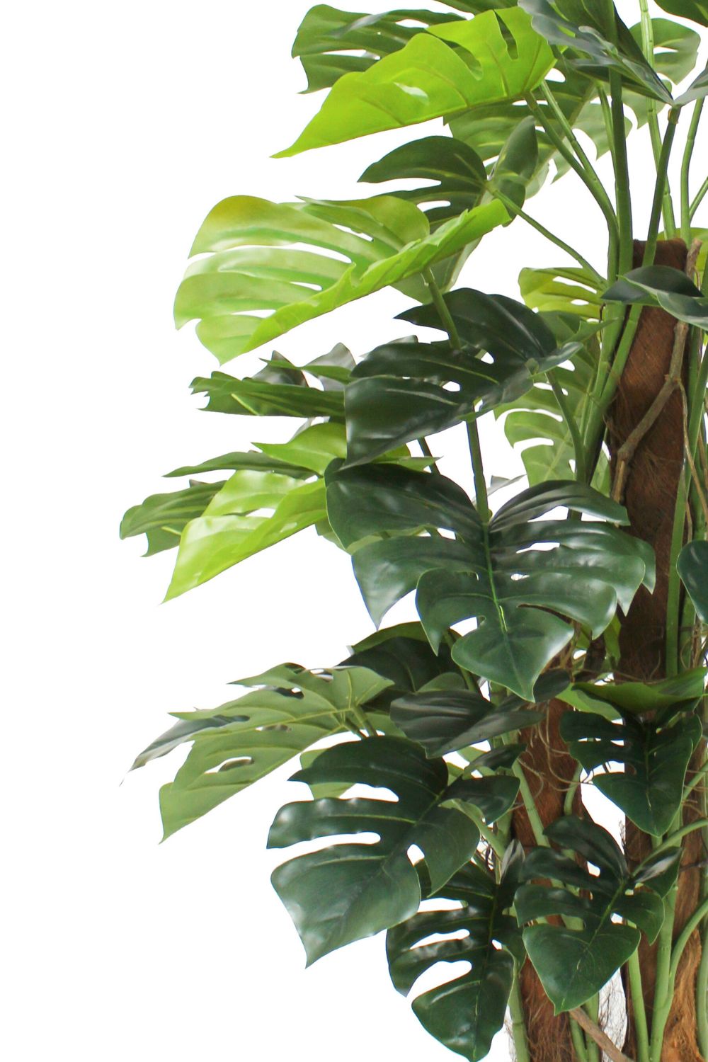 Bladeren en stam monstera kunstplant 120cm