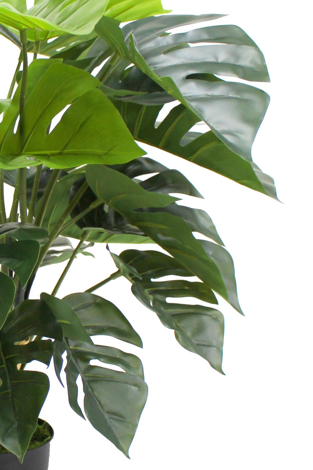 Monstera Kunstplant 65cm