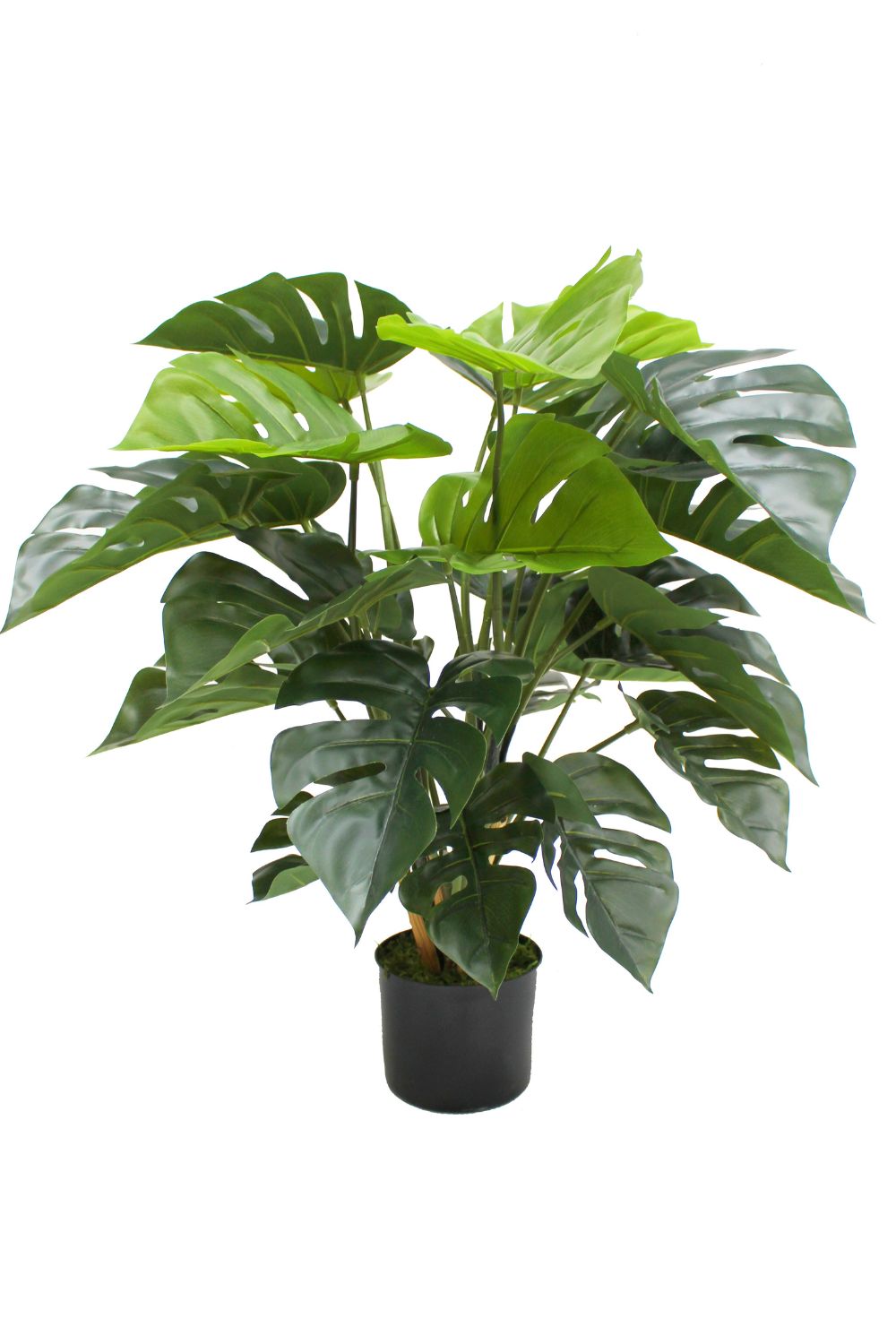 Monstera Kunstplant 65cm