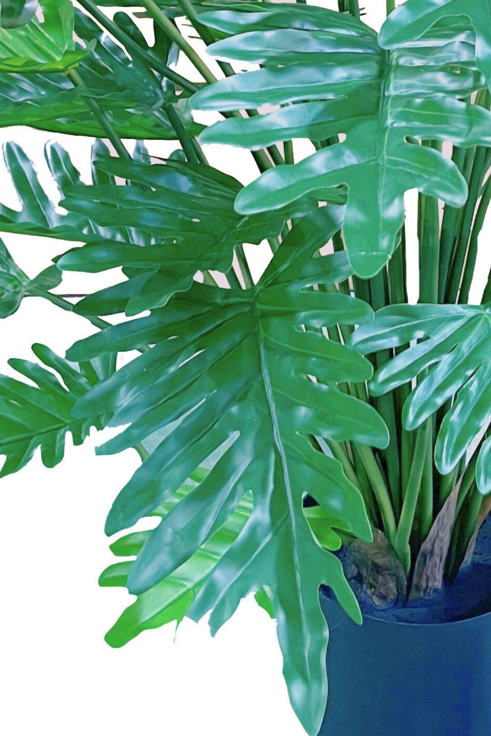 details blad philodendron kunstplant 75cm