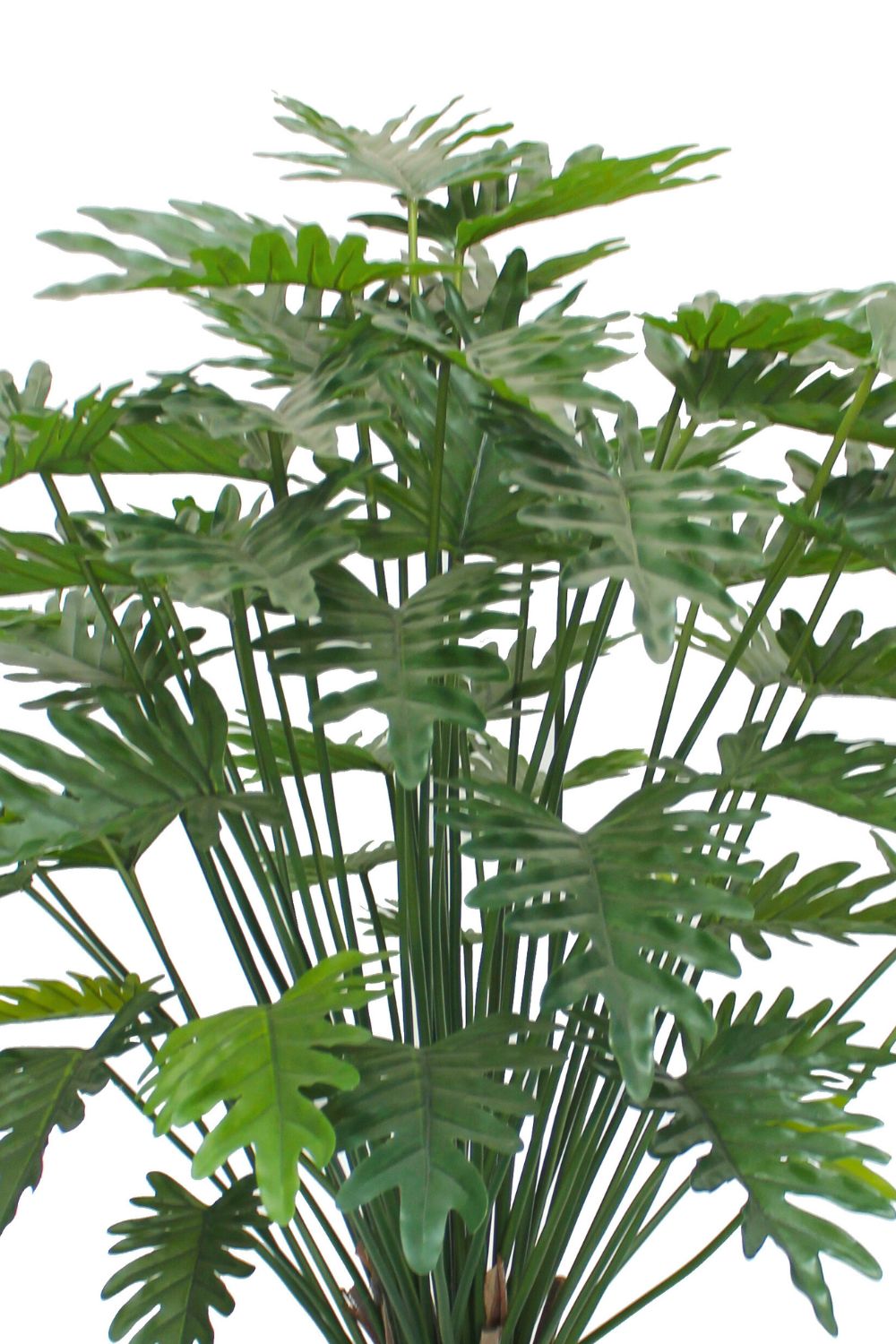 Pre-Order Philodendron Kunstplant 100cm