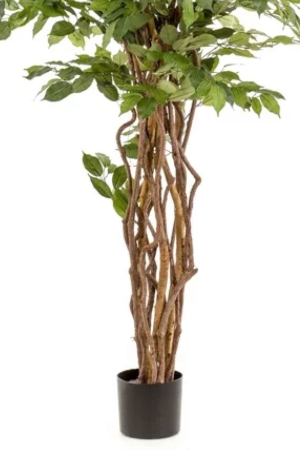 Stam Ficus Liana kunstplant 170cm