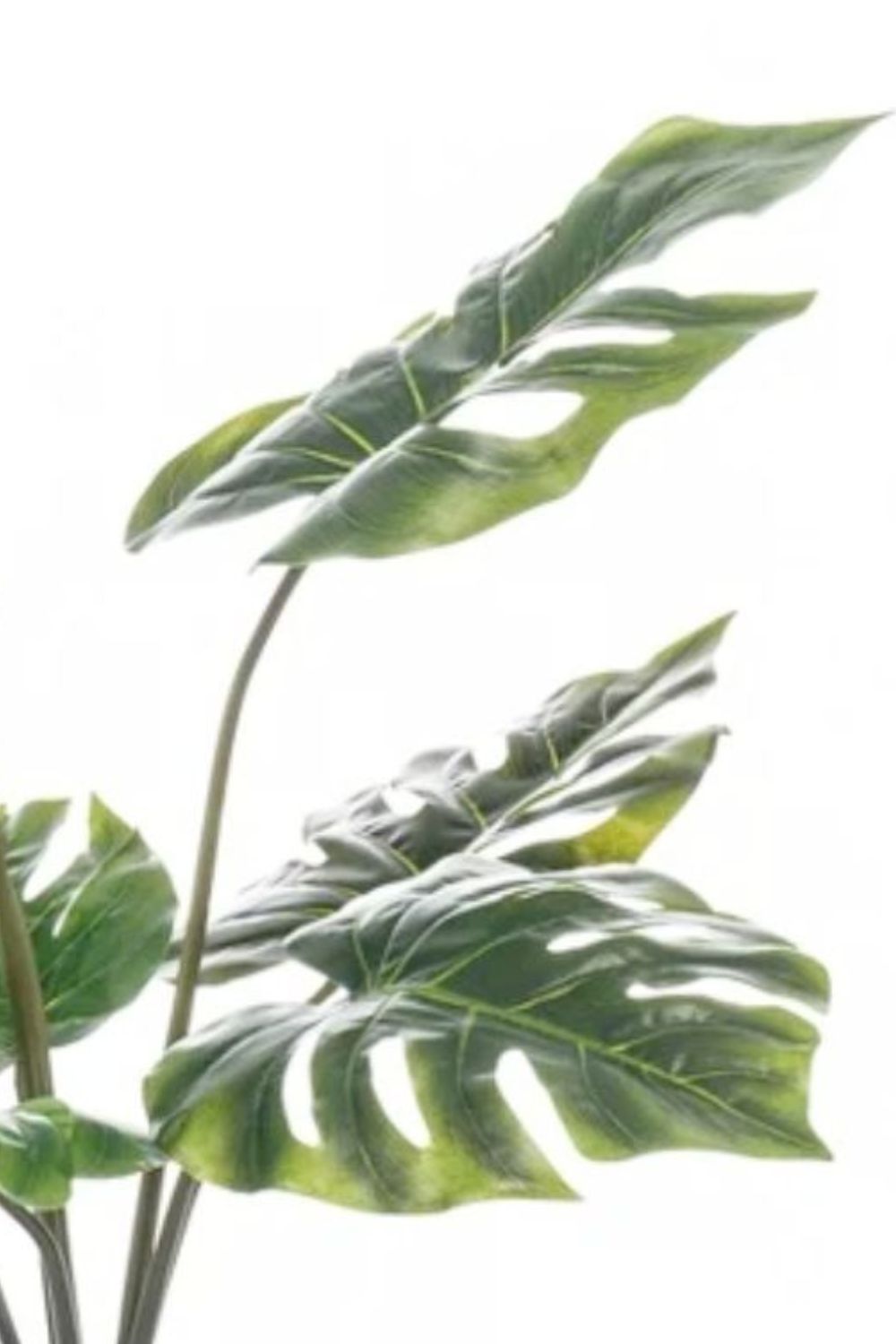 details blad monstera kunstplant 60cm