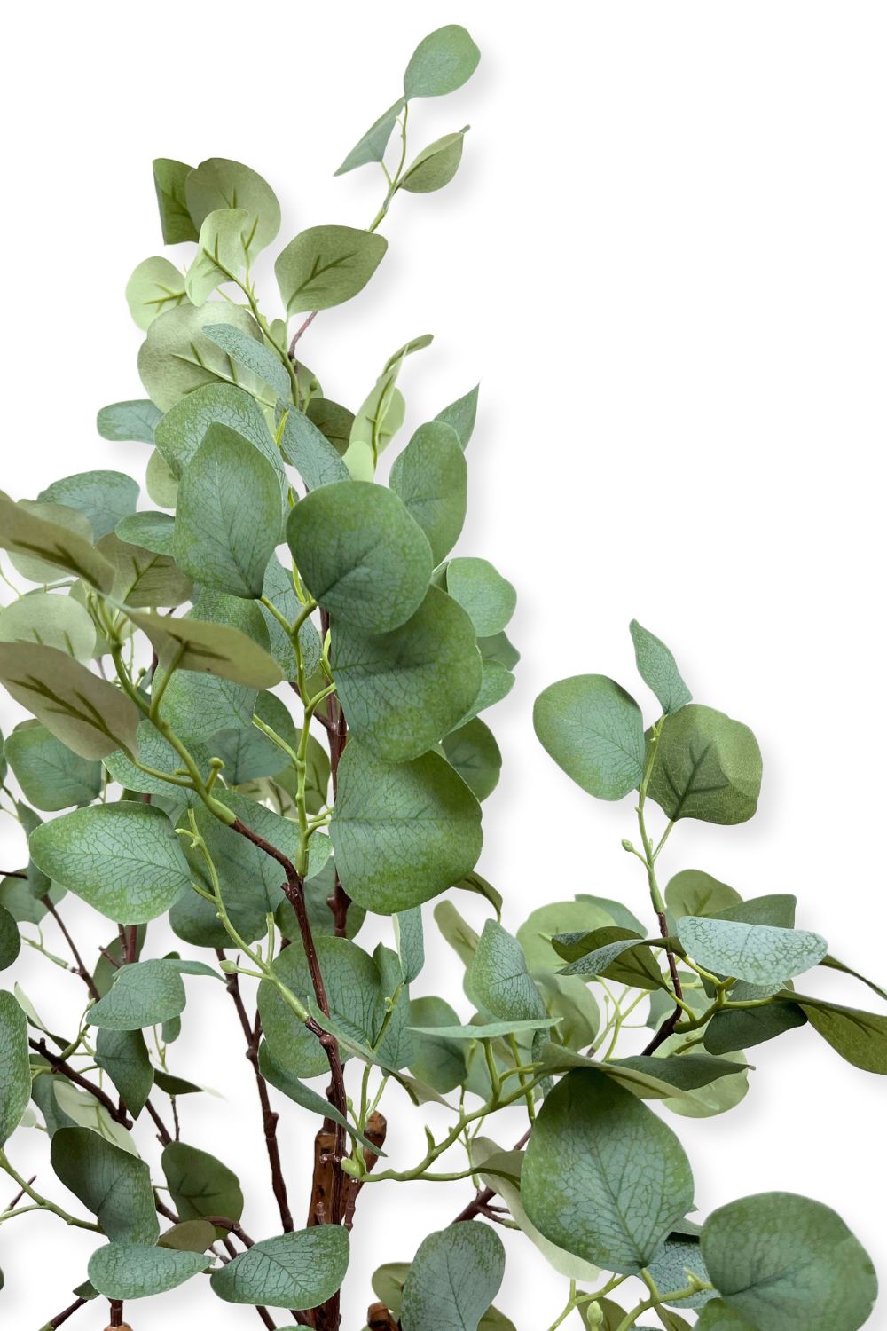 Eucalyptus Kunstboom 120cm