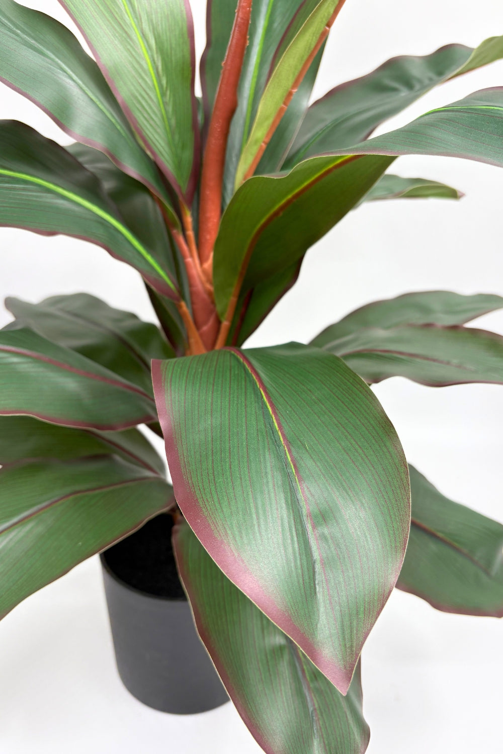 Dracaena Kunstplant 60cm