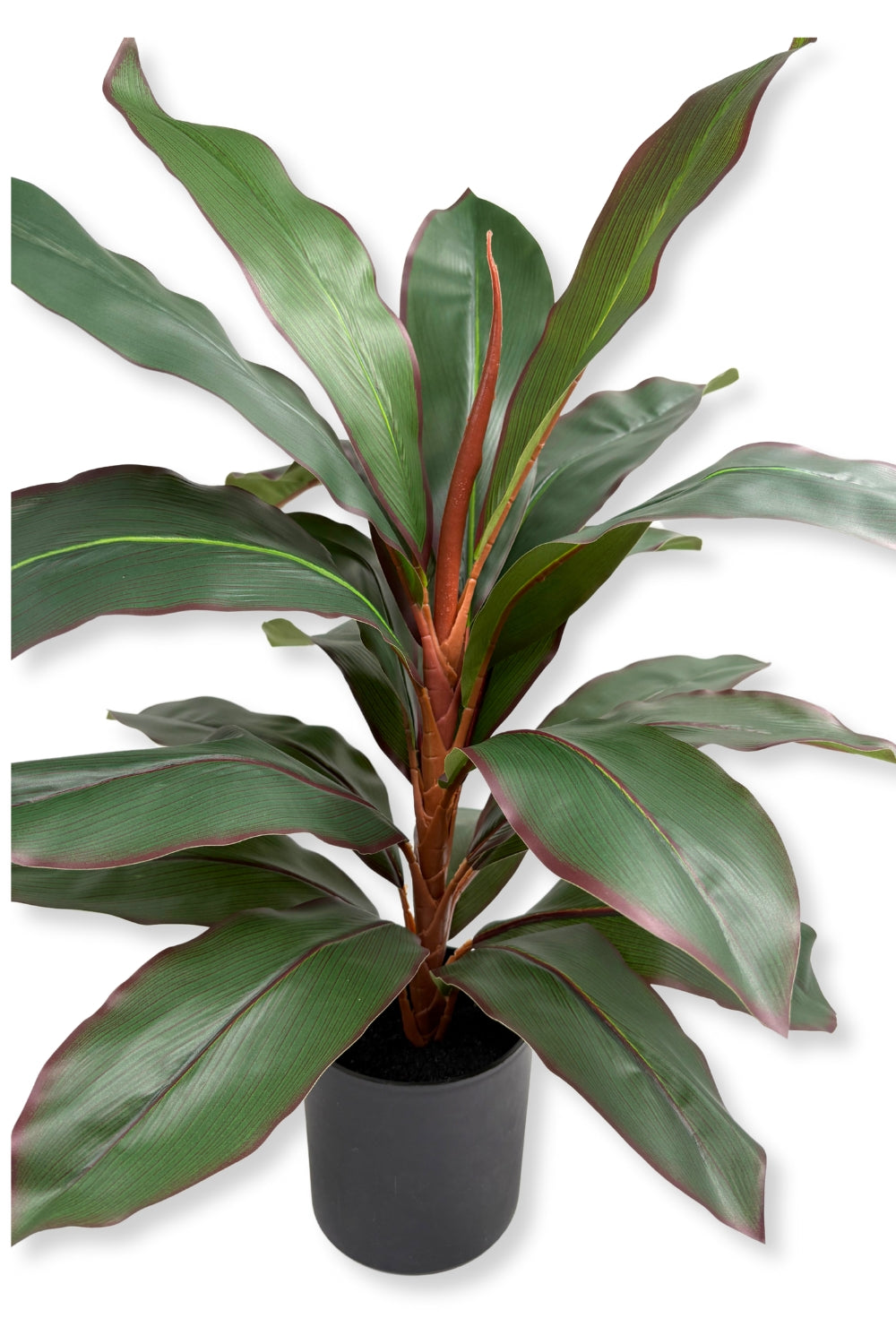 Dracaena Kunstplant 60cm