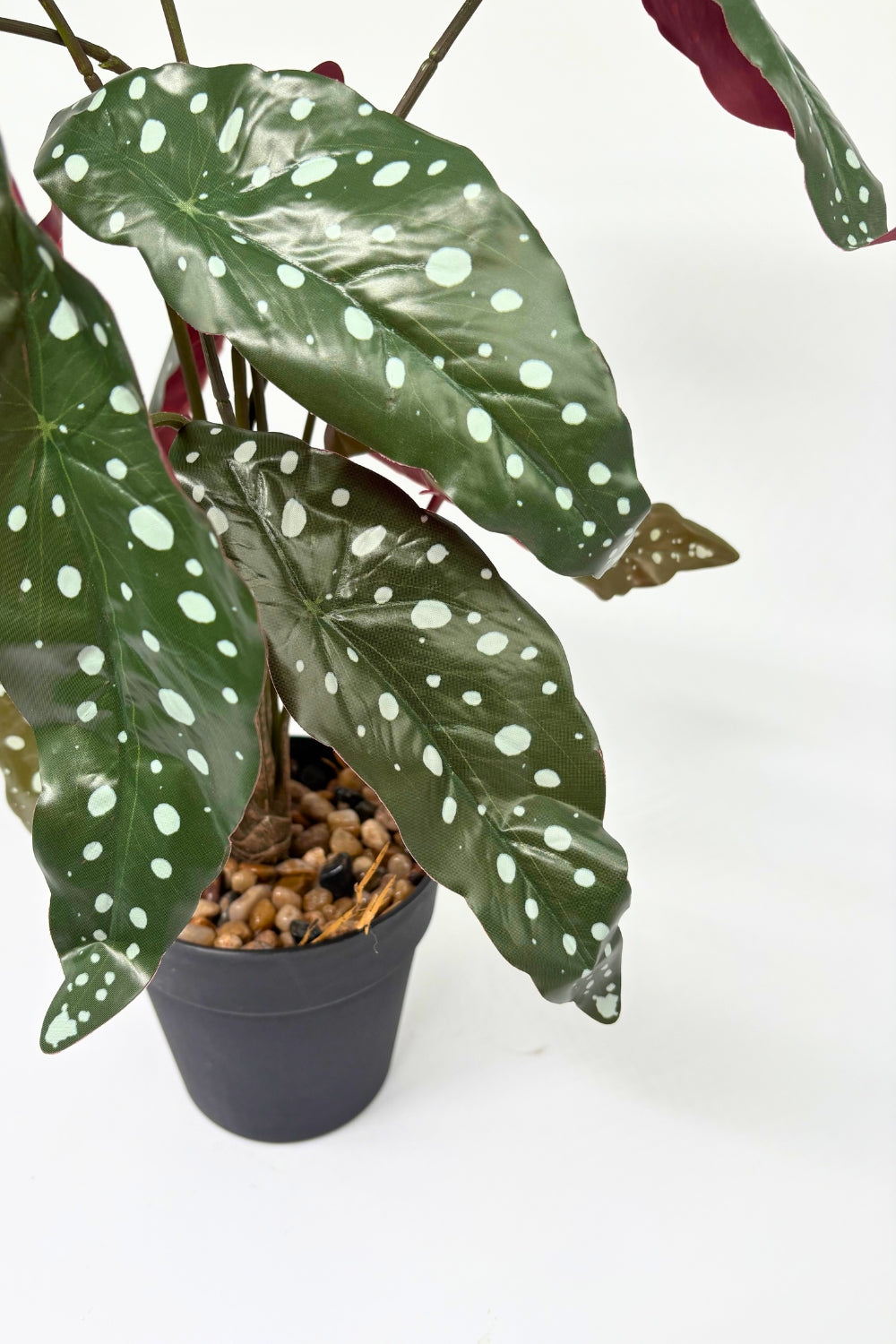 Begonia Maculata Kunstplant 55cm