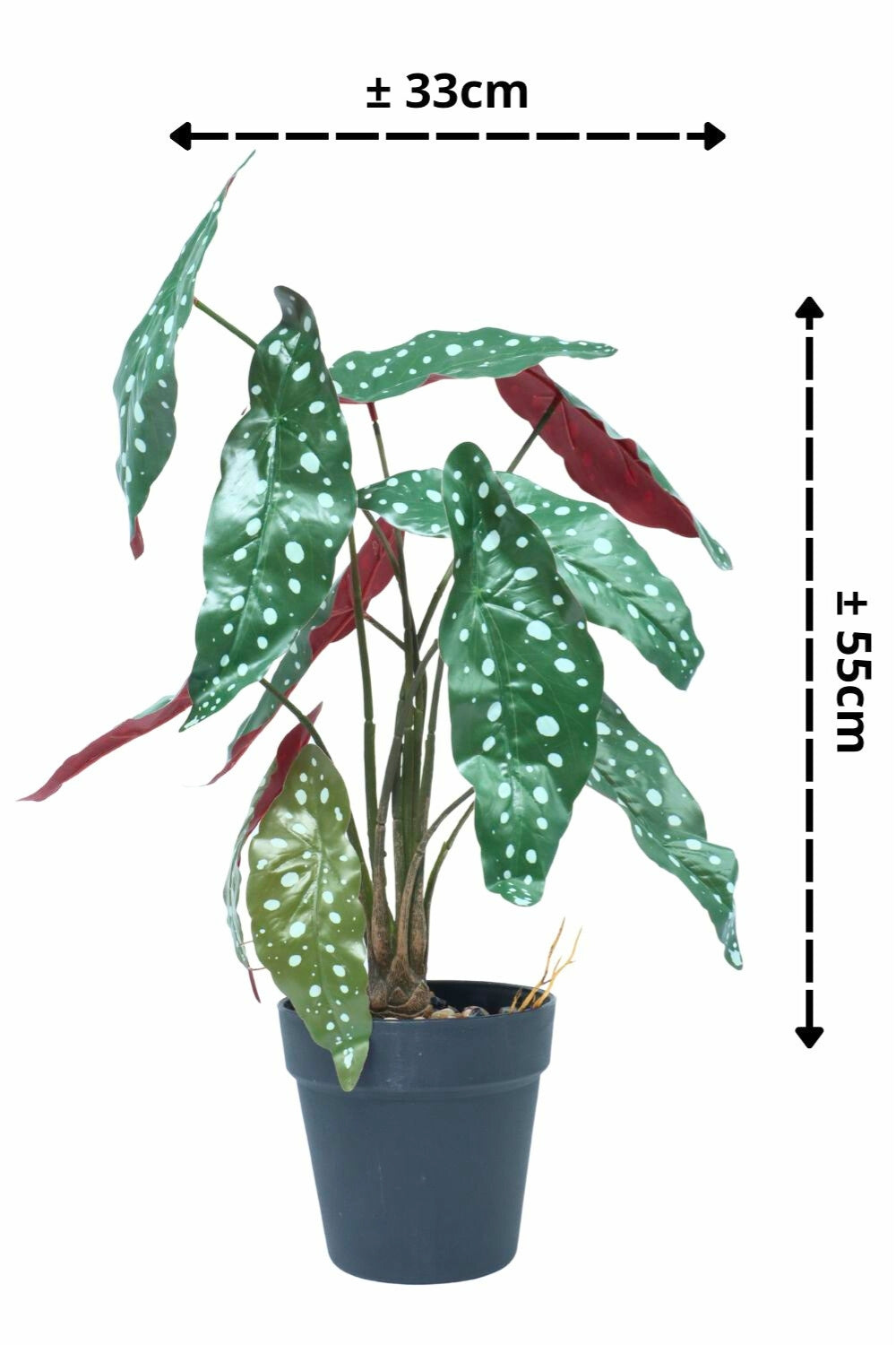 Begonia Maculata Kunstplant 55cm