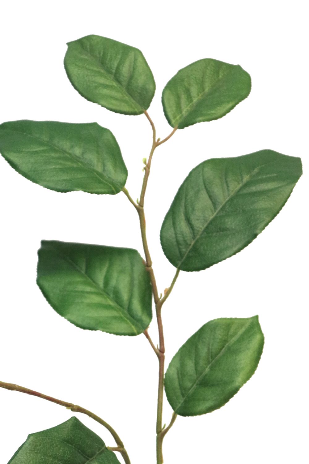 details salal kunsttak 77cm